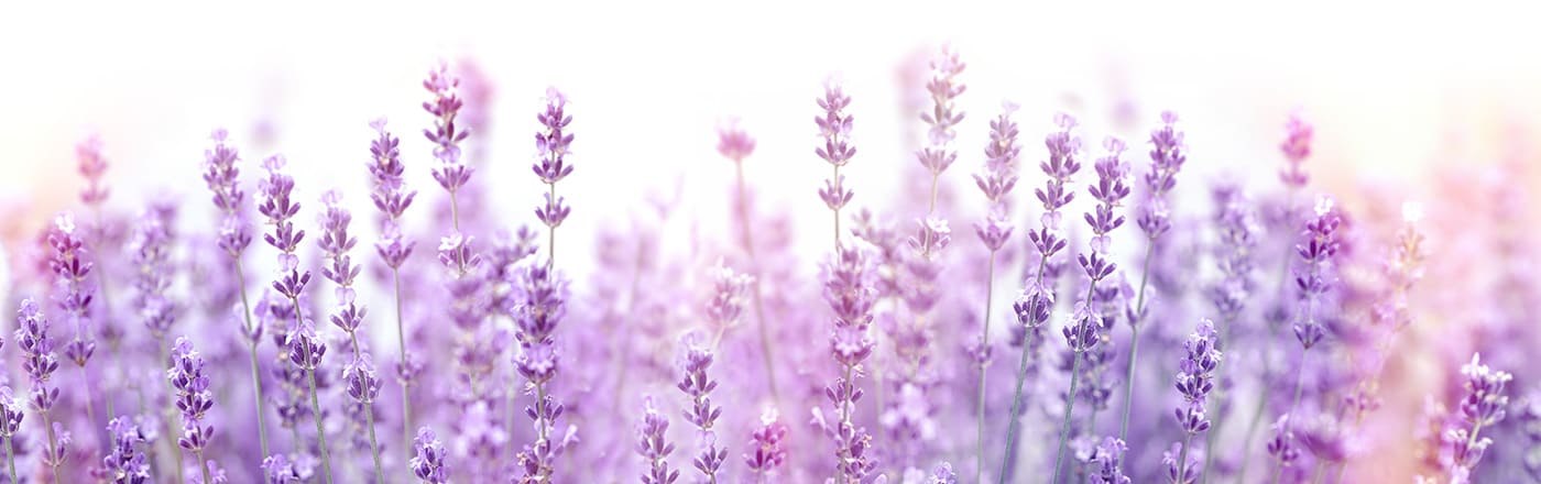 大阪府内で主婦がおすすめのマッチングアプリでパパ活して援助されたいなら